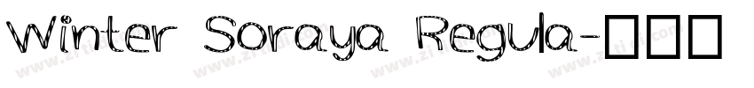 Winter Soraya Regula字体转换